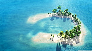 green coconut trees, island, water, palm trees