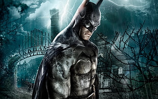Batman wallpaper, Batman: Arkham Asylum, artwork, video games HD wallpaper