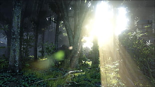 landscape photo of trees, Ark: Survival Evolved, video games, The Island, sunlight HD wallpaper