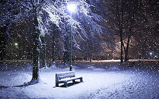 gray bench on snowfield near light post and tree during nighttime