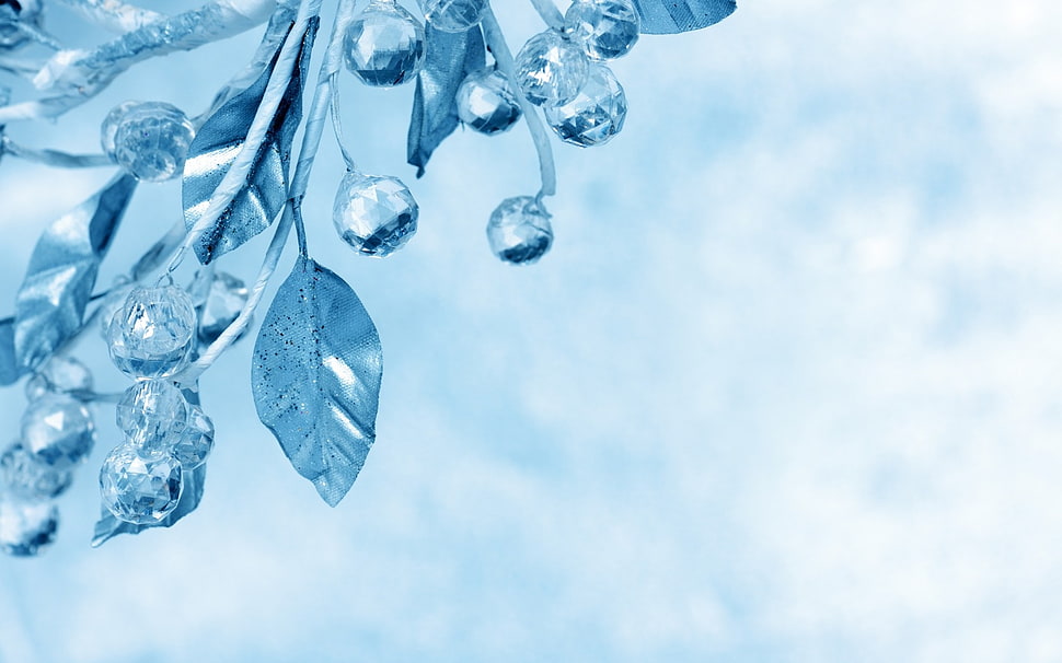 close up photography of snowflake HD wallpaper