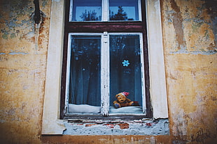 teddy bear on window painting