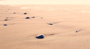 black stone on grey sand near ocean close up photography