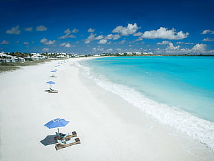 seashore photo under the blue sky