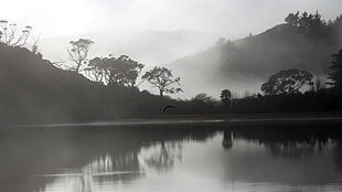 grayscale photography of body of water near trees and mountain, lake, water