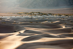 landscape photography of sand dunes HD wallpaper