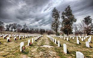 stock photography pf graveyard under cloudy sky HD wallpaper