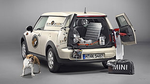 white Mini Cooper Clubman SUV, Mini Clubvan, car, dog, animals