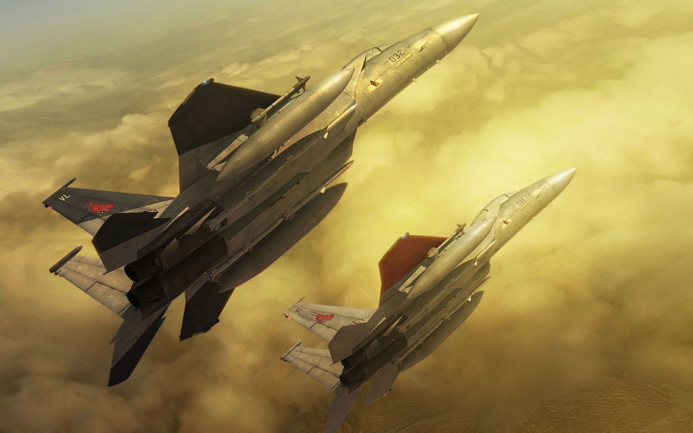 two gray-and-black fighter jets in sky HD wallpaper