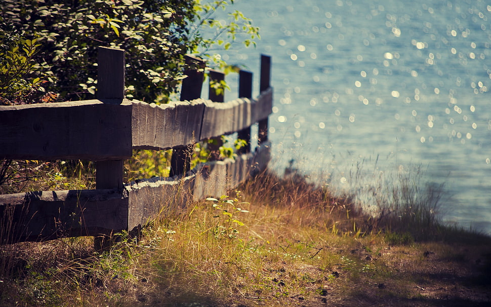 brown wooden fence near sea at daytime HD wallpaper