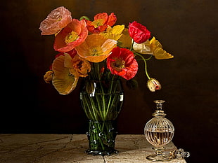 red, orange, and yellow flowers in glass vase