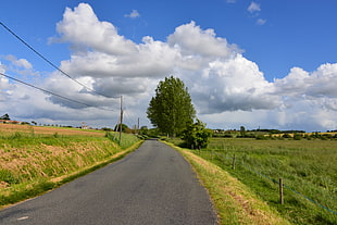 green fields between pave road HD wallpaper