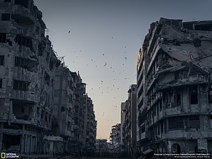 National Geographic city catastrophe, National Geographic, Syria, war, cityscape HD wallpaper