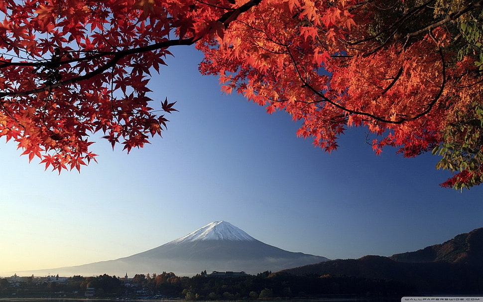 Fuji mountain HD wallpaper