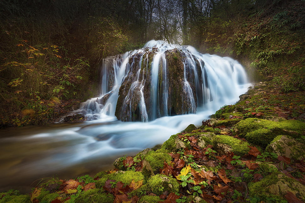 waterfall and trees, nature, long exposure, waterfall, water HD wallpaper