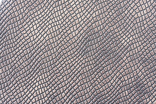 British Museum, Leather, Surface, Embossed