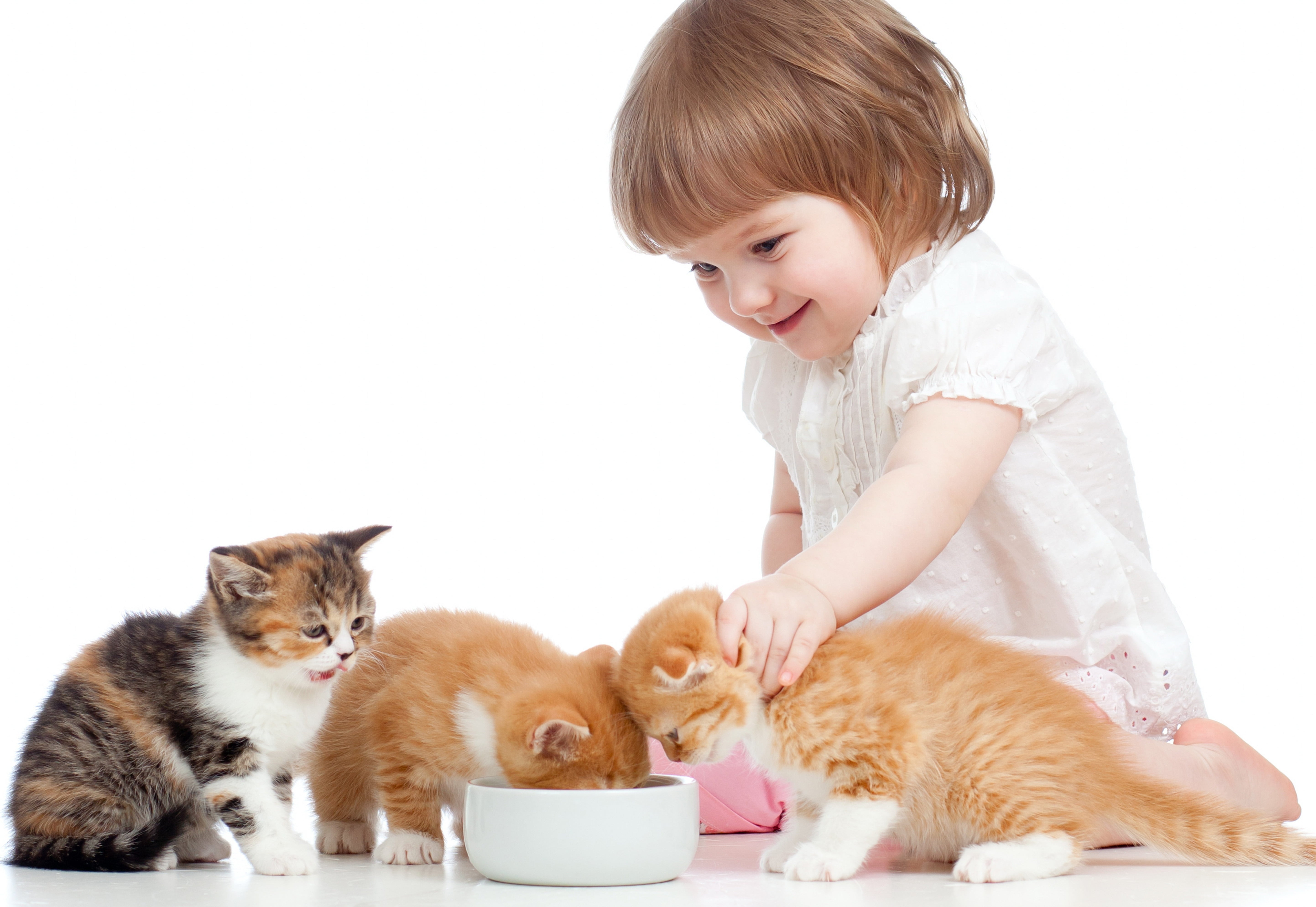 Как заботиться о кошке. Котёнок-ребёнок. Домашние животные для детей. Кошка для детей. Забота о домашних животных.