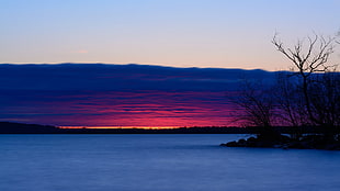 leafless tree near body of water digital wallpaper, landscape, clouds