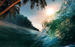 illustration of water waves with sun