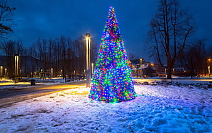 blue and green Christmas tree, holiday, fir, Christmas, christmas lights