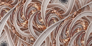 brown and white floral area rug, fractal, Apophysis, golden ratio, Fibonacci sequence