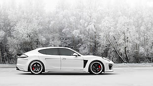 white coupe, Porsche Panamera, snow, car, Porsche