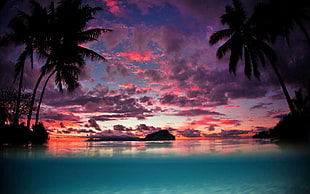 palm trees painting, landscape, nature, Tahiti, sunset