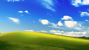 green grass field under the blue skies wallpaper, Microsoft Windows, MS-DOS, landscape