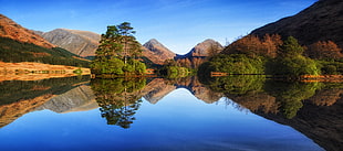 wide photography of body of water near green trees and mountains