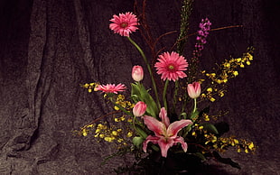 pink petaled flower arrangement HD wallpaper