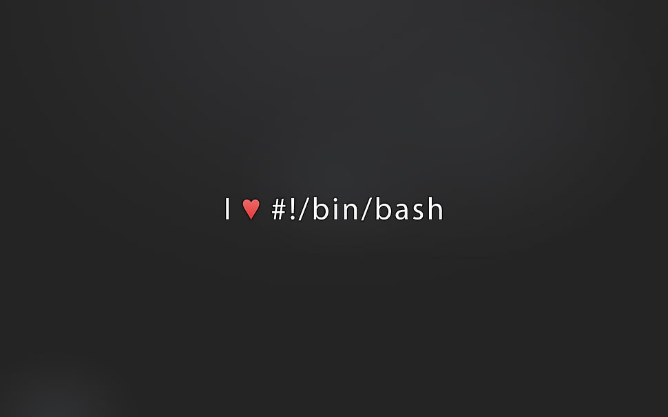 i love bin bash text HD wallpaper