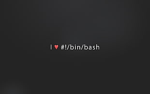 i love bin bash text