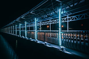 photography of bridge during night time