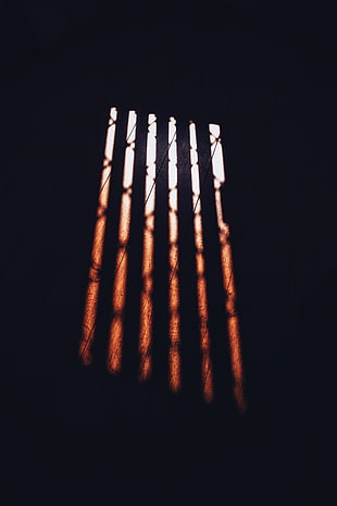 sun rays, wood HD wallpaper