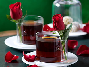 selective focus photo of tea and rose HD wallpaper