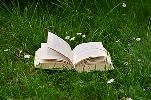 beige book open on green grass
