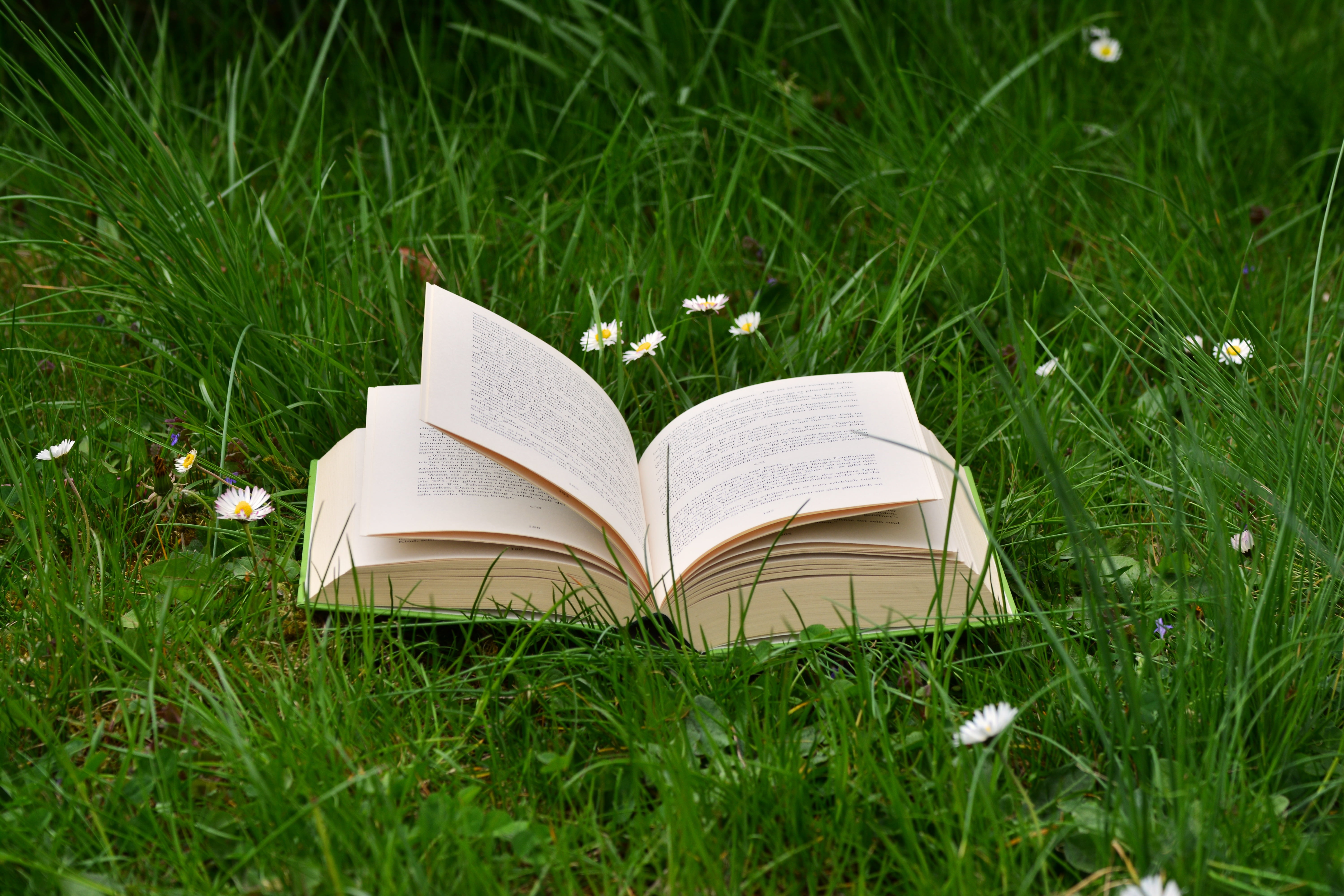 beige book open on green grass