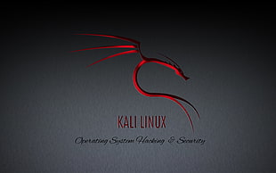 Linux, GNU, Kali Linux, Kali Linux NetHunter HD wallpaper