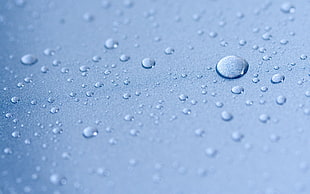 dew, water drops, depth of field, macro, blue