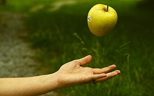 human hand catching apple in mid air