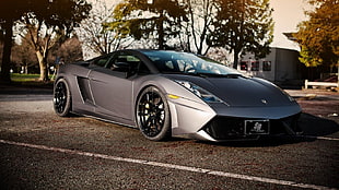 gray coupe, car, Lamborghini Gallardo, Didier Drogba  HD wallpaper