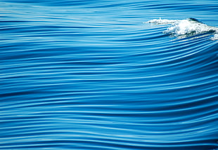 selective photography of sea waves