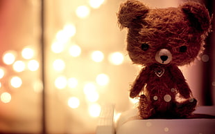 brown bear plush toy in closeup shot HD wallpaper