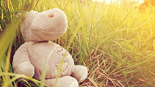 pair of yellow-and-white knitted shoes, stuffed animal, grass, sunlight