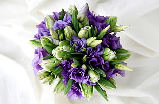 purple petaled flower bouquet HD wallpaper