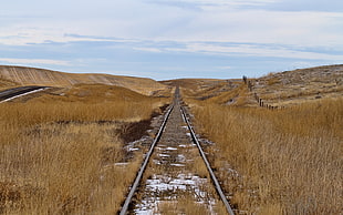 black steel railroad with brown grass photography during daytime