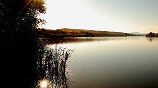 calm body of water, landscape, water