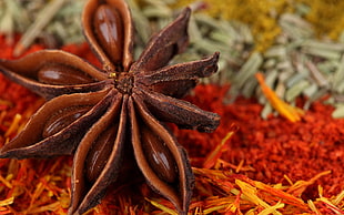withered flower with saffron