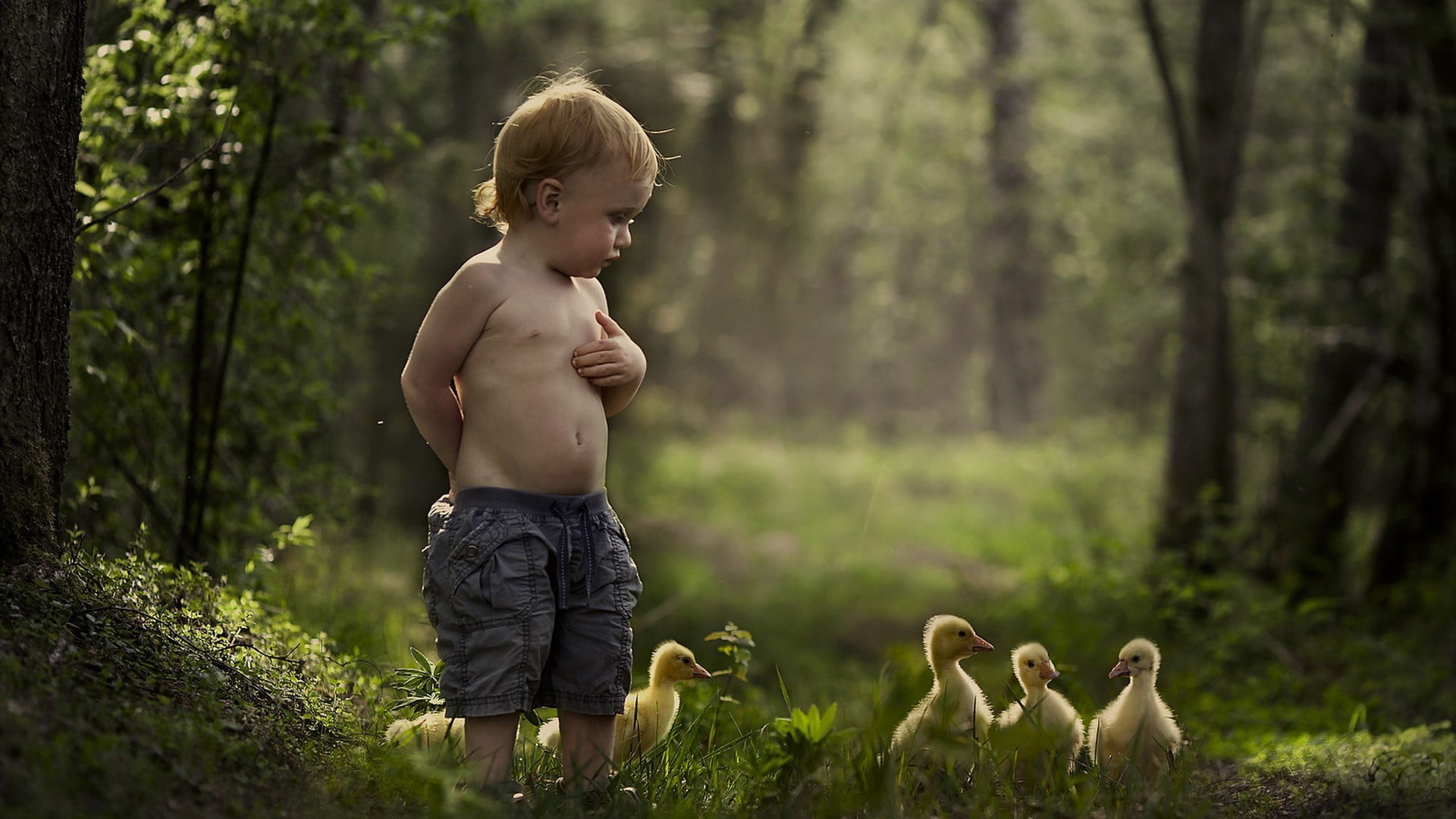 boy wearing yellow cargo shorts