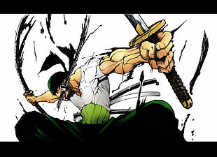 One Piece Roronoa Zoro wallpaper, One Piece, Roronoa Zoro, anime boys, sword HD wallpaper